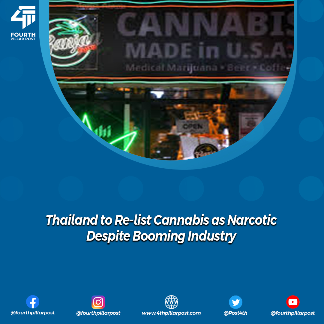Thailand's U-turn on cannabis: from decriminalization to re-listing as a narcotic, sparking concerns amid a flourishing industry. #Thailand #Cannabis #DrugPolicy
Read more: 4thpillarpost.com