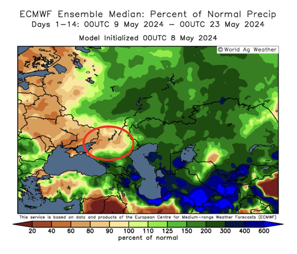 The Russian South forecast is still drier than needed. This is a point of no return. #1 country's #wheat growing region will likely get below-average yields this year. And 2-3 months ago it did look like a bumper crop...

We are releasing our new Russia's wheat crop forecast for