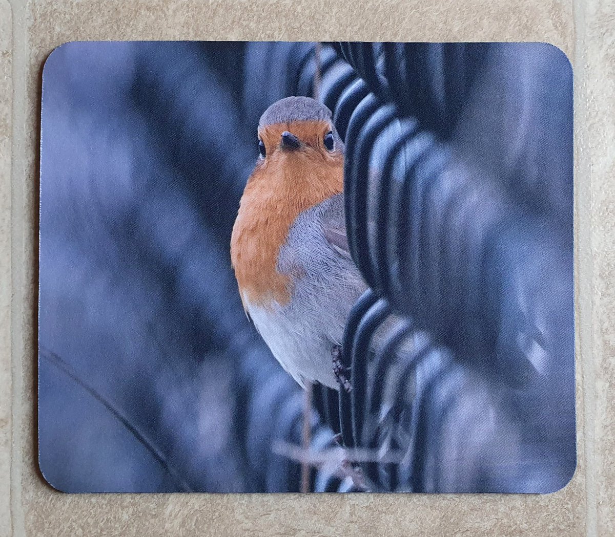 Brand new mousemat in my shop; 'Robin in a fence'. 😀 You can buy it here; carlbovis.com/product-page/m… 🐦❤️