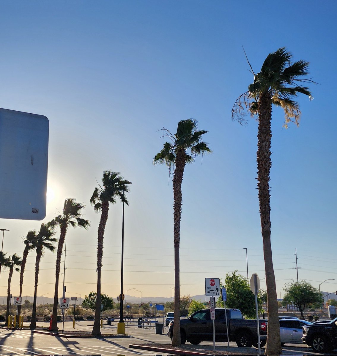 Did I mention this is our only Walmart 60-100 miles in each direction, it's our lifeline out here. All together now Parker Walmart palm trees anemometer, I love this today with the blowing dust in the background. #azwx #cawx #nvwx #ParkerAZ #LakeHavasu #ColoradoRiver