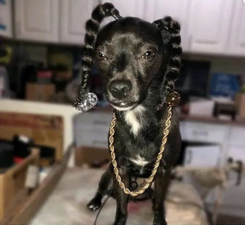 Snoop dogg isn’t a dog