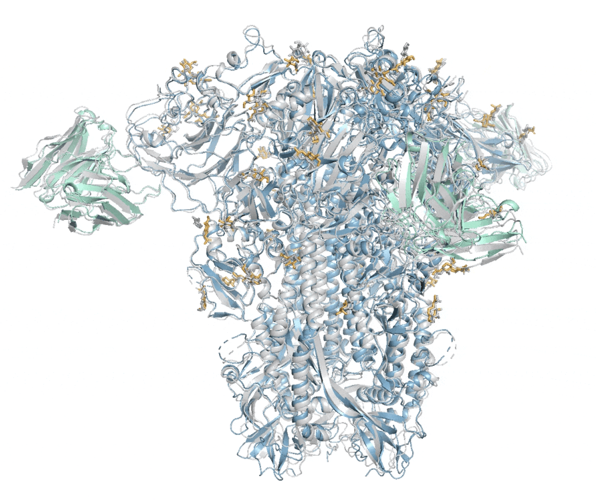 AlphaFold 2 was the most significant advance for #AI in life science (predicting structure of proteins) to date. Today @nature there's AlphaFold 3 for DNA, RNA, small molecules, ions, and their interactions (spike of coronavirus below) nature.com/articles/s4158…