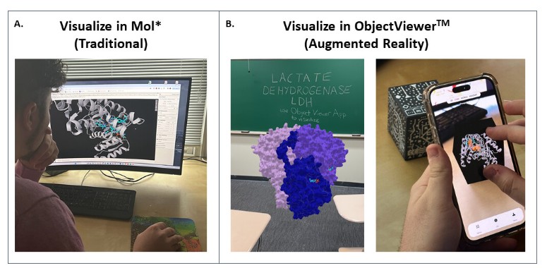 Incorporating augmented reality (AR) into molecular case studies enhances biomolecular structure-function explorations in undergrad classrooms, facilitates instructor reparation and reduces students' cognitive load. Learn more in #JMBE: asm.social/1R5