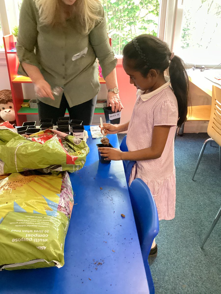 Mrs Rollason (@mrsrollason) on Twitter photo Year 2 have been investigating what a plant needs to grow well. Today the children have enjoyed planting their own seeds using their knowledge from our experiment. Once they have germinated, the children will be able to take their own plants home. <a href="/MissJenkinson/">Rachel Jenkinson</a> <a href="/GarswoodPrimary/">Garswood School</a> Year 2 have been investigating what a plant needs to grow well. Today the children have enjoyed planting their own seeds using their knowledge from our experiment. Once they have germinated, the children will be able to take their own plants home. <a href="/MissJenkinson/">Rachel Jenkinson</a> <a href="/GarswoodPrimary/">Garswood School</a>