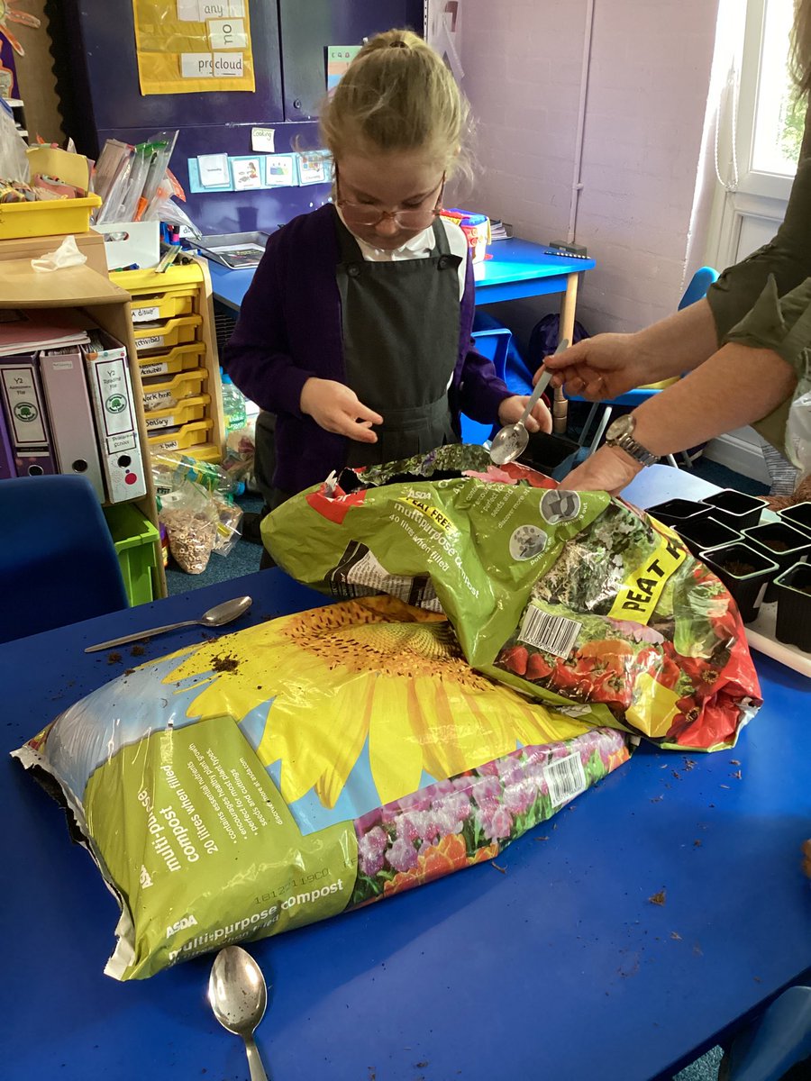 Mrs Rollason tweet media