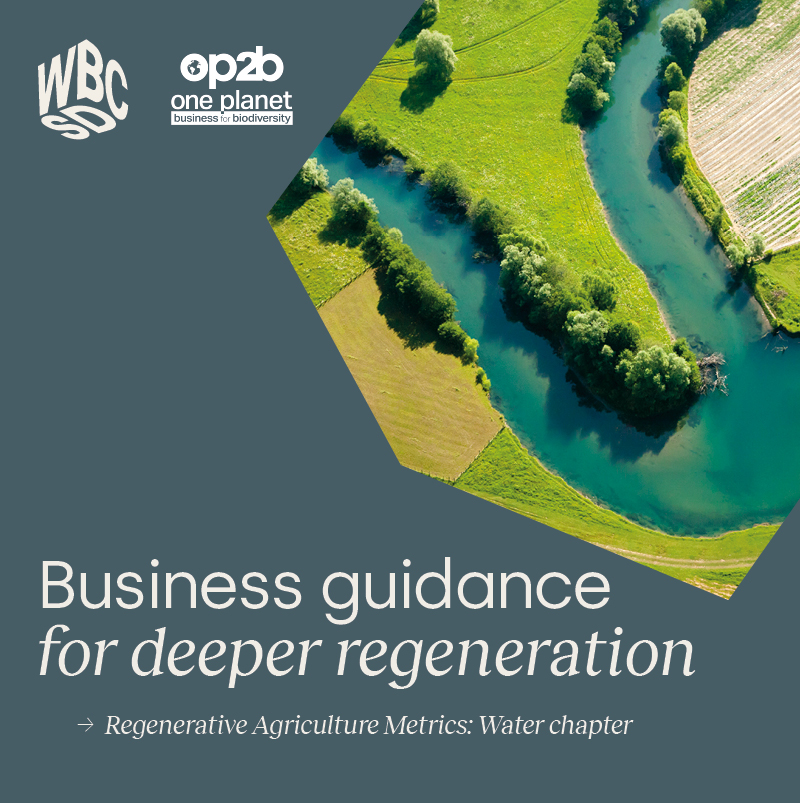 🌾 #RegenerativeAgriculture practices can improve water infiltration rates, positively affect water flows & supply and reduce erosion.🌊 👉Find out more: wbcsd.org/Projects/OP2B/… @OP2B_OnePlanet