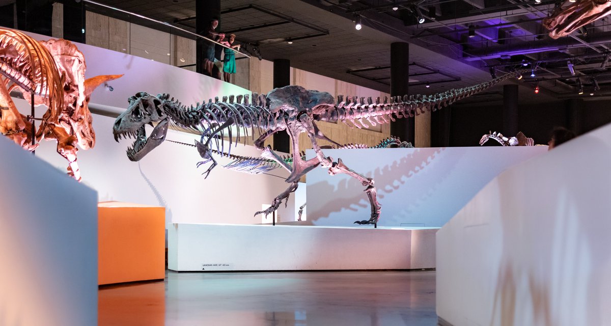 Attention museumgoers 🗣️ The Houston Museum of Natural Science at Hermann Park will close today at 1PM due to a private event. #HMNS #HMNSUpdate