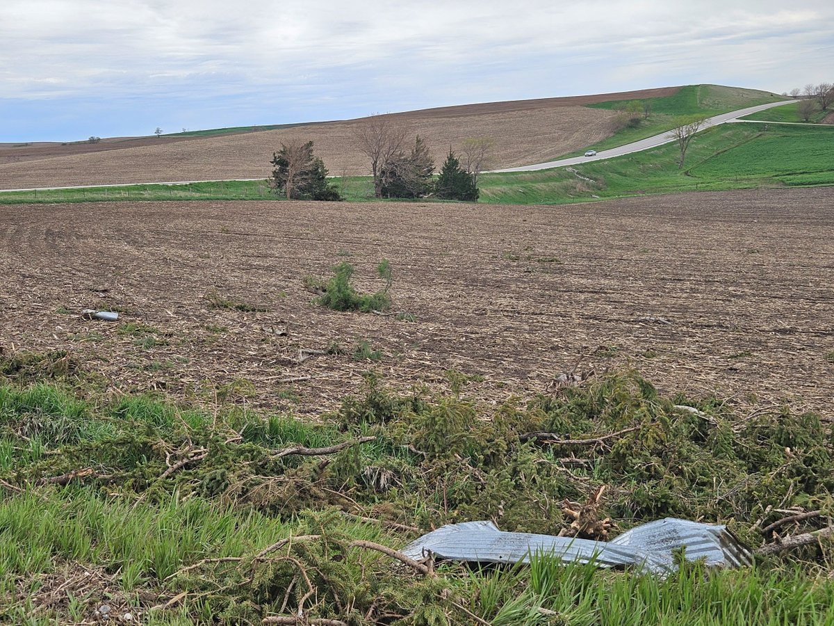 Iowans who are cleaning up from the recent bout of storms can find useful resources offered by Iowa State University Extension and Outreach. extension.iastate.edu/news/agronomis…