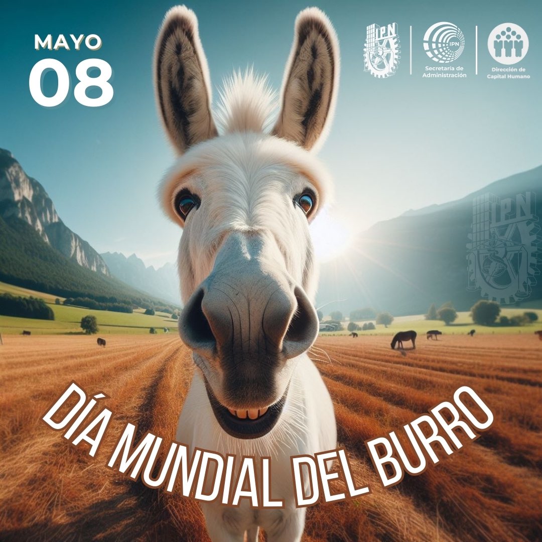 🙌 Celebremos el Día Mundial del Burro 🫏, una fecha dedicada a reconocer la invaluable contribución de estos animales a la sociedad. Un homenaje a nuestros queridos burritos, símbolo de trabajo, tenacidad y orgullo del @IPN_MX #DíaMundialDelBurro #IPN #Huelum #FelizMiercoles