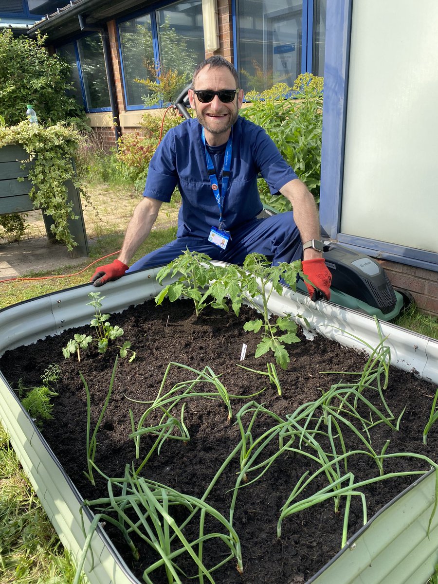 JDU fabulous consultant Dr Mike Crawford working with Service Users to create our home grown menu! 🌱🥒🥔🥕🥙🥦🍅 @GMMH_NHS @linzq28 @bobstermanc We are JDU 🫶🏽 #deafmentalhealth #deaf #bsl #homegrown #workingtogether #growth #recovery