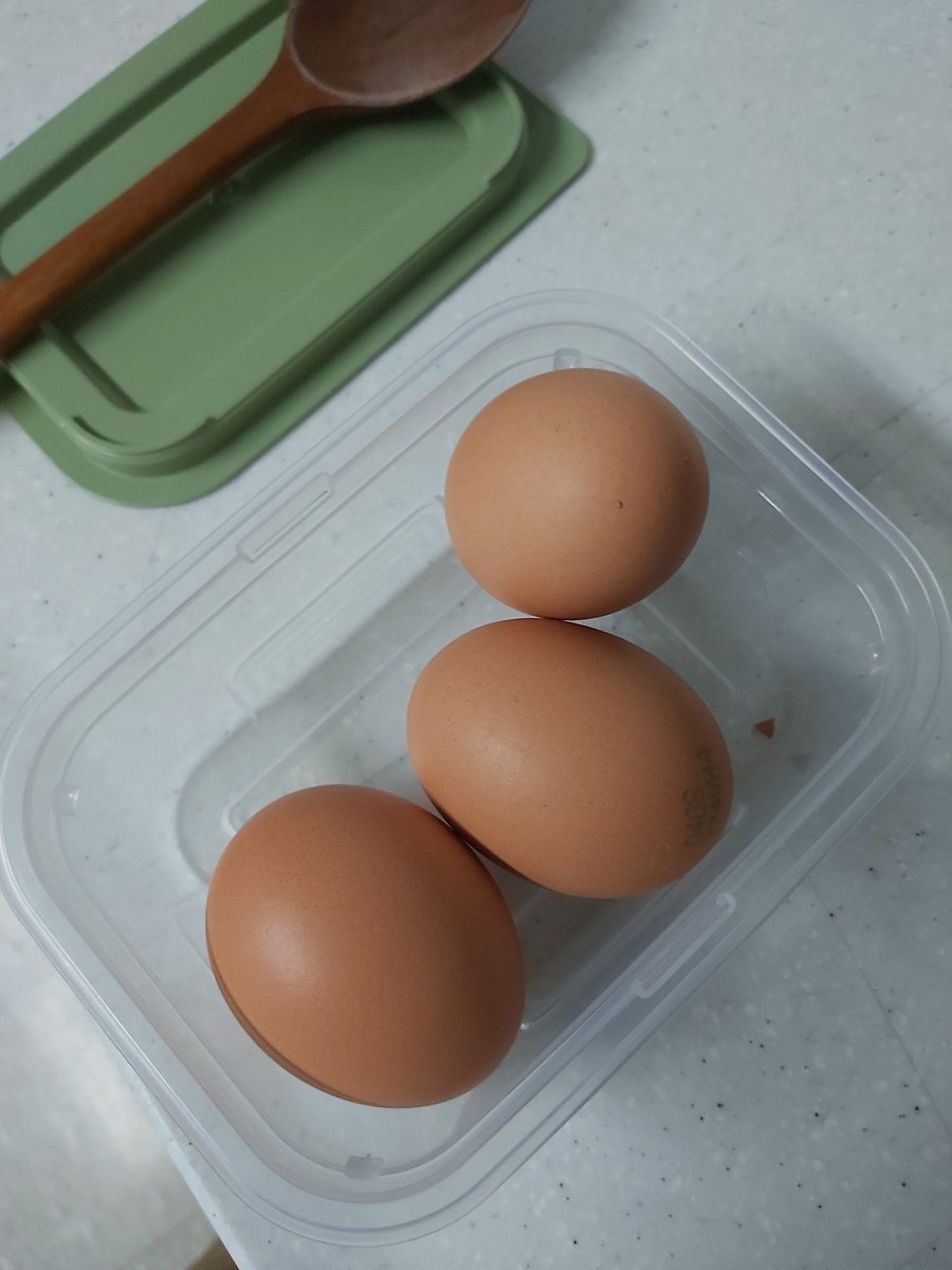 계란 3 게
