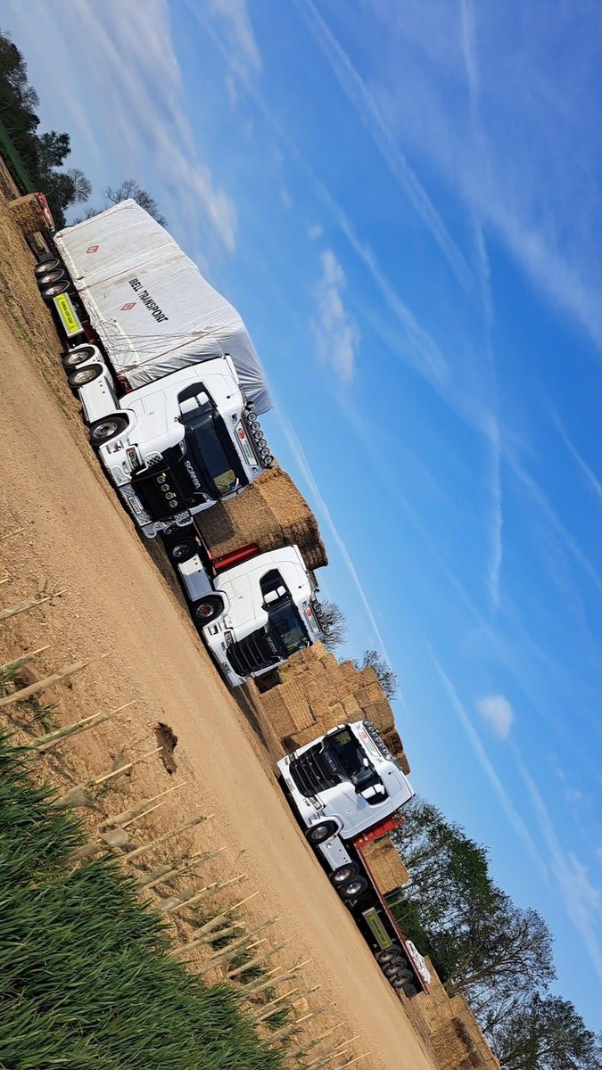 TransportBell's tweet photo. Some day for it! 🌾☀️ https://t.co/0dCpa2AoEc