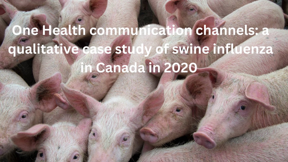 In a new article in BMC Health (Vol. 24), Denis-Robichaud et al. highlight the importance of investing time & resources in supporting relationship building & communication mechanisms, among stakeholders in the human, animal & ecosystem health sectors: tinyurl.com/4e2pk5ux