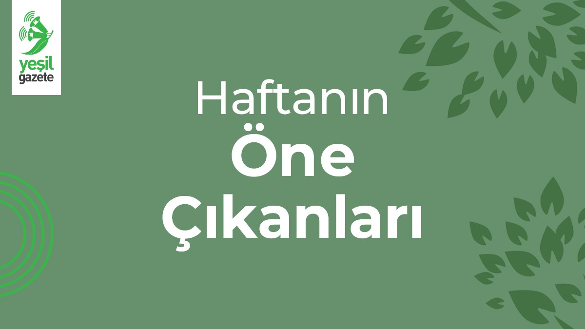 Haftanın ‘#YeşilGündem’i özel haberlerimiz, ilgi çekici içerikler, videolar ve yazarlarımızın makaleleriyle Yeşil Bülten’de… Kaçırmayın! Takip Etmek için 👉 yesilgazete.org/bulten/