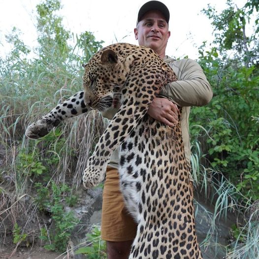 .@DeborahJGlick You are our #hero for sponsoring the wildlife-killing contest bill! Now please release A.0584, the 'Big Five African Trophies Act' to the floor. New York can be the leader in helping to save valuable leopards, elephants, rhinos, and giraffes from extinction by…