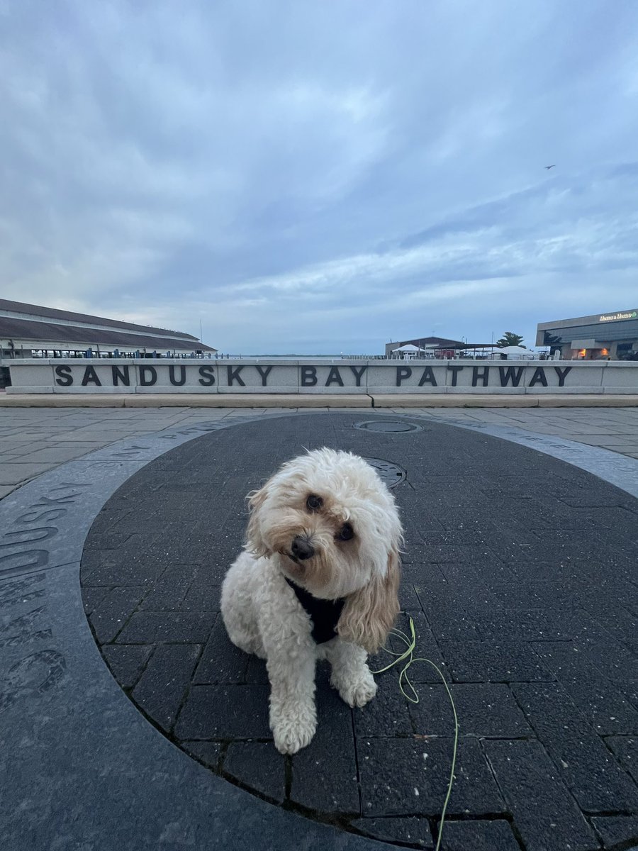 No RUFF days here on the Sandusky Bay Pathway. The pathway is the perfect place to go for a stroll, run, or bike ride. Today, it’s a walk with my dog Frankie! This scenic trail offers BAY-utiful views that anyone can enjoy. 🏃🏼‍♀️☀️🌊🚴🏽 #PunsAndPaths #JaxonSeesSandusky