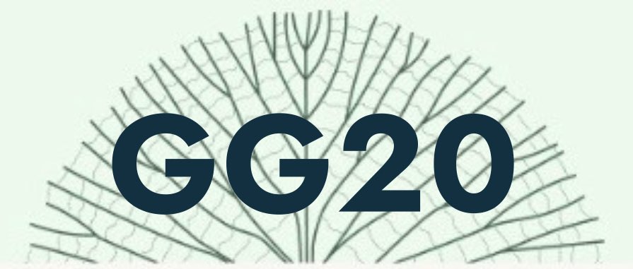 Thank you so much for your support to our grant in #GG20 🙏