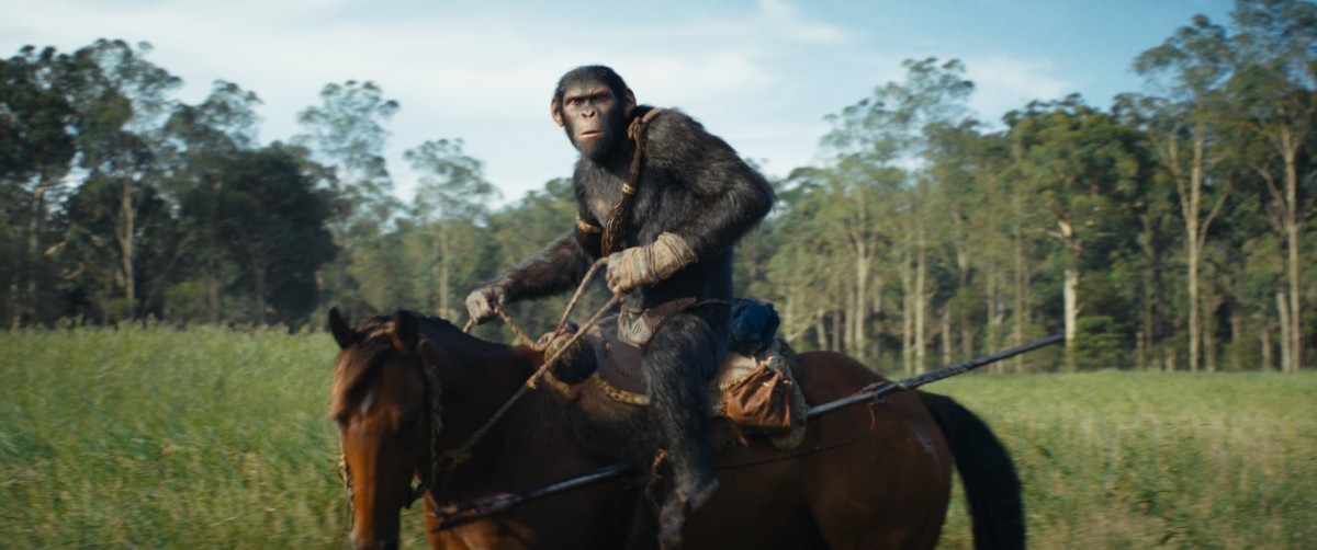 'Here’s a film—well, a franchise—where you see smart writers and filmmakers at work towards bringing things full circle, not meeting rooms dedicated to soulless fan-servicing.' Read @TomiLaffly's review of KINGDOM OF THE PLANET OF THE APES: rogerebert.com/reviews/kingdo…
