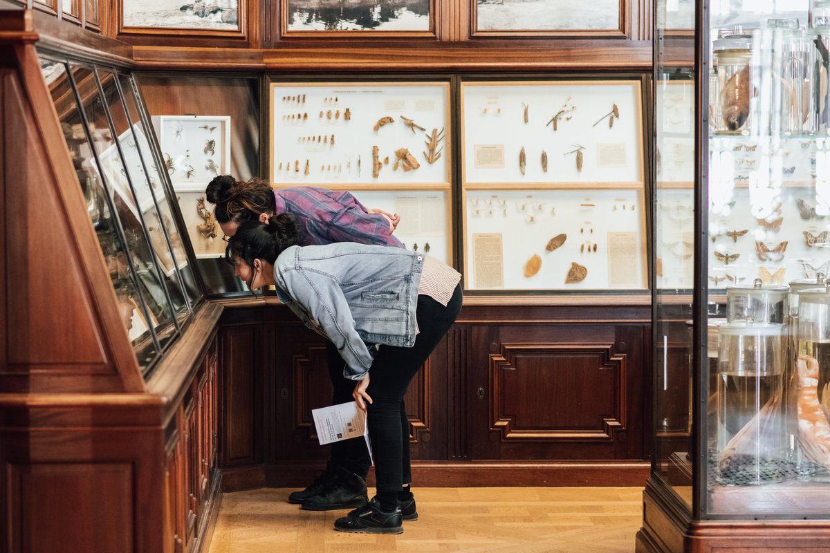 Do you not have any plans for your day off tomorrow? You are more than welcome to visit the AfricaMuseum. Make sure to also stop by our exhibition on the origins of colonial collections, ReThinking Collections. See you tomorrow!