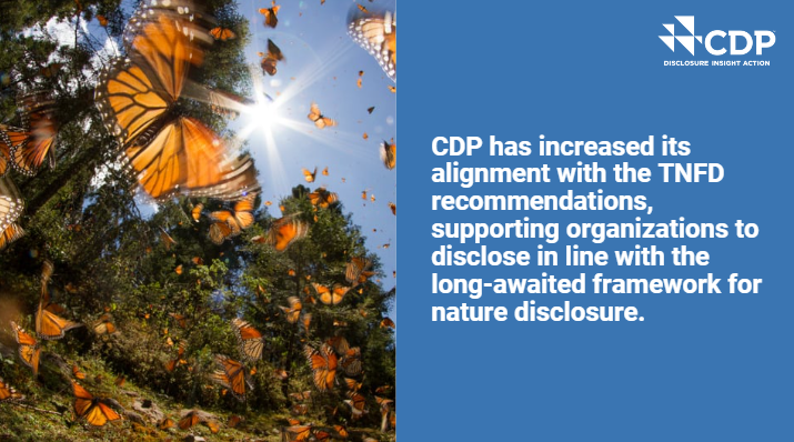 The #TNFD have been working with @CDP to help align their corporate questionnaire and reporting guidance with our recommendations and guidance.  Explore today.  

🔴Questionnair ow.ly/wHBw50RzypX 

#interoperability #CorporateReporting #NaturePositive
