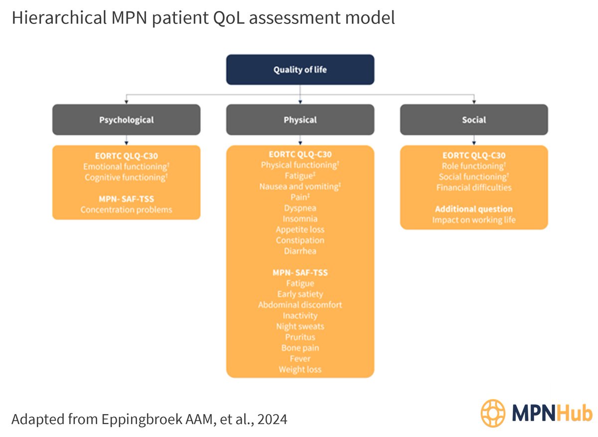 How does MPN impact patient QoL? We summarize a recent publication investigating the physical, psychological, and social impacts of MPN. Read more here loom.ly/PcHKHDU #mpnsm #MedicalEducation