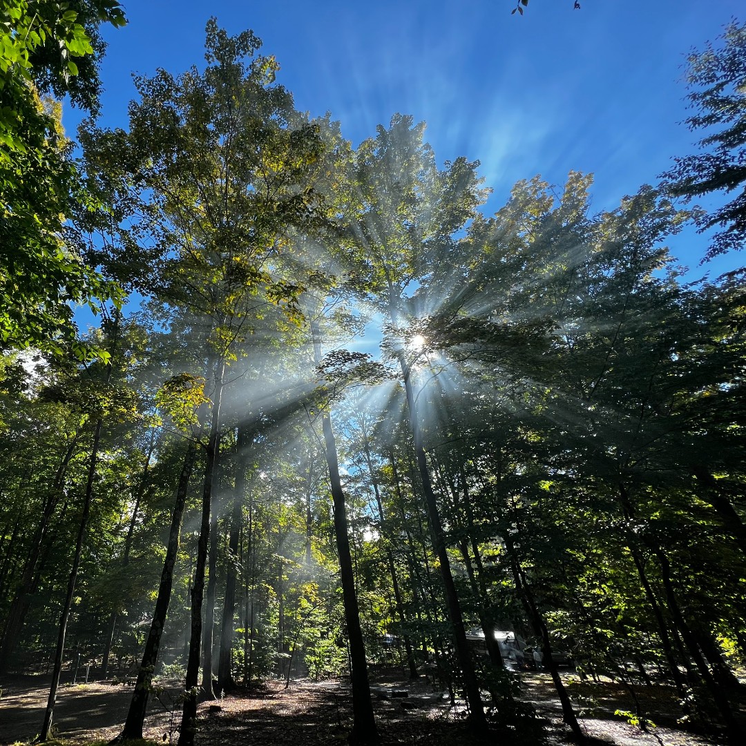 Rise and shine! 📍 Delta Lake State Park, Rome 📷 Rebecca Spataro