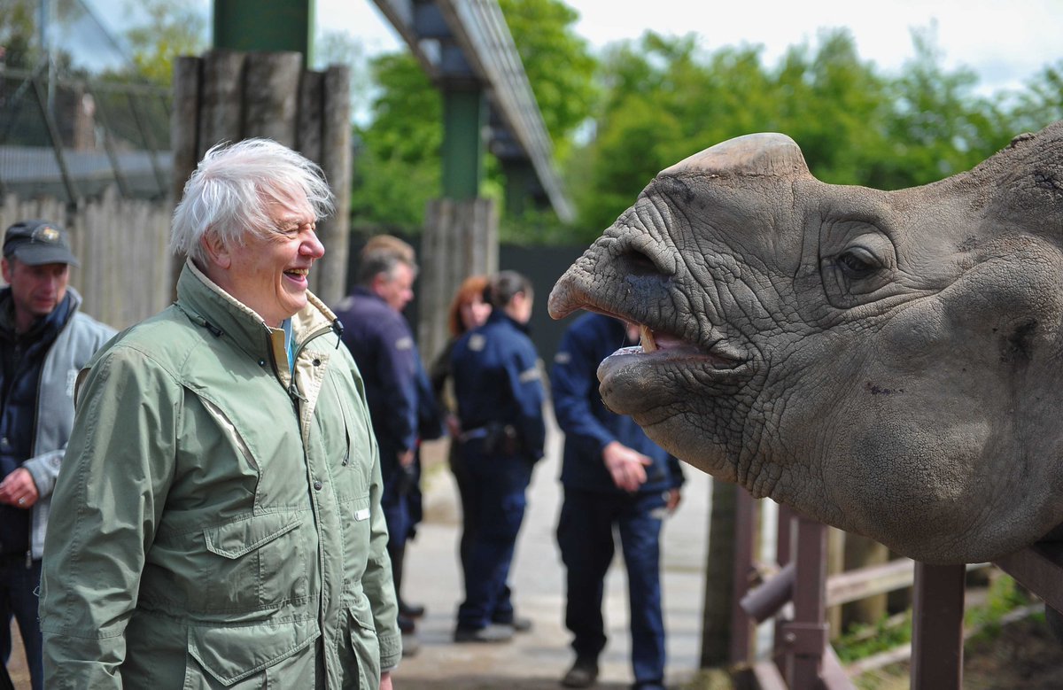 A real-life superhero! ❤️

Happy 98th birthday to the voice of nature... Sir David Attenborough! 🙌

Thank you for inspiring millions of us to cherish and protect our beautiful planet 🌍