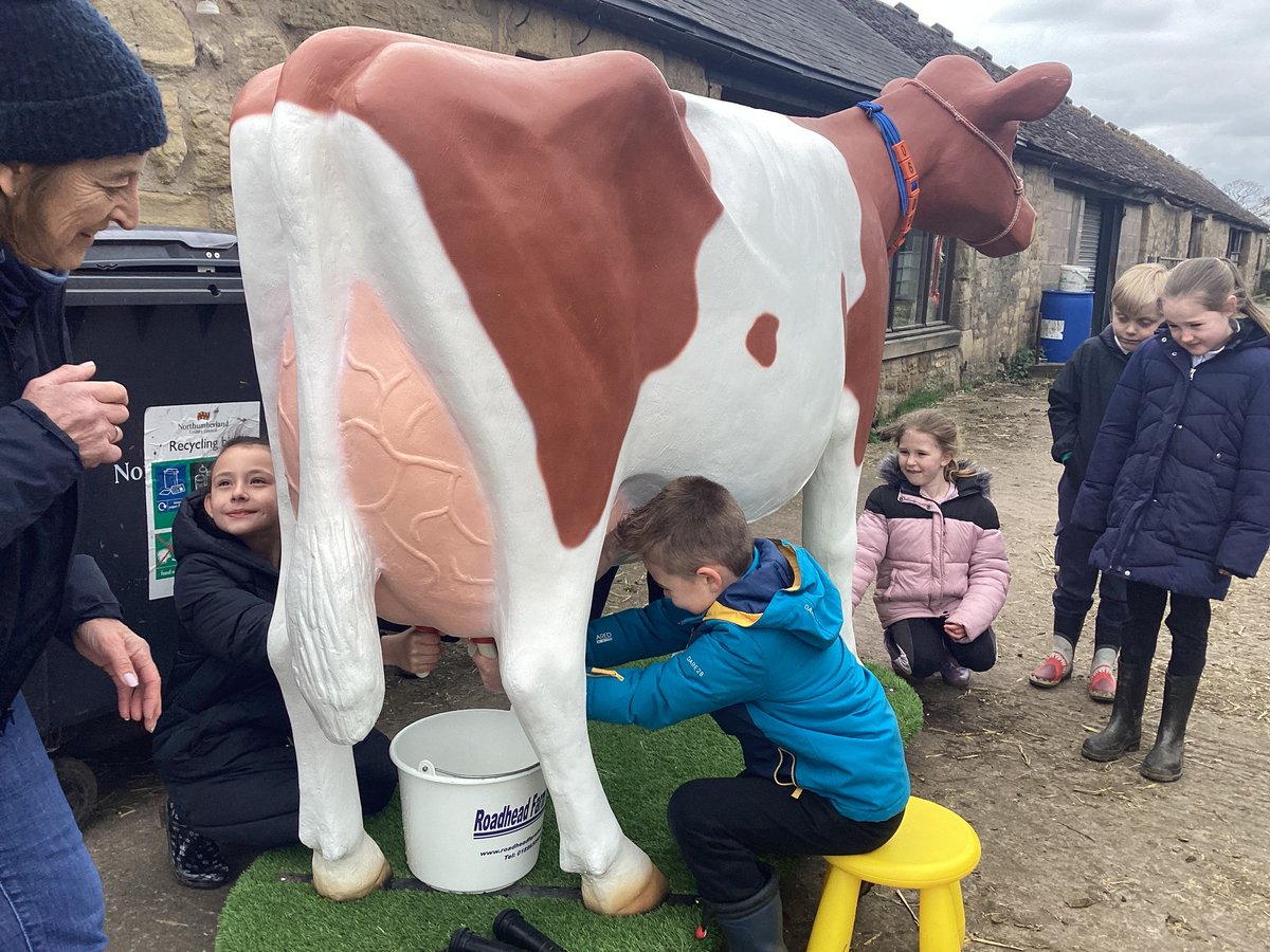 As part of The Country Trust project, Year 3 have been to Morwick Dairy Farm!