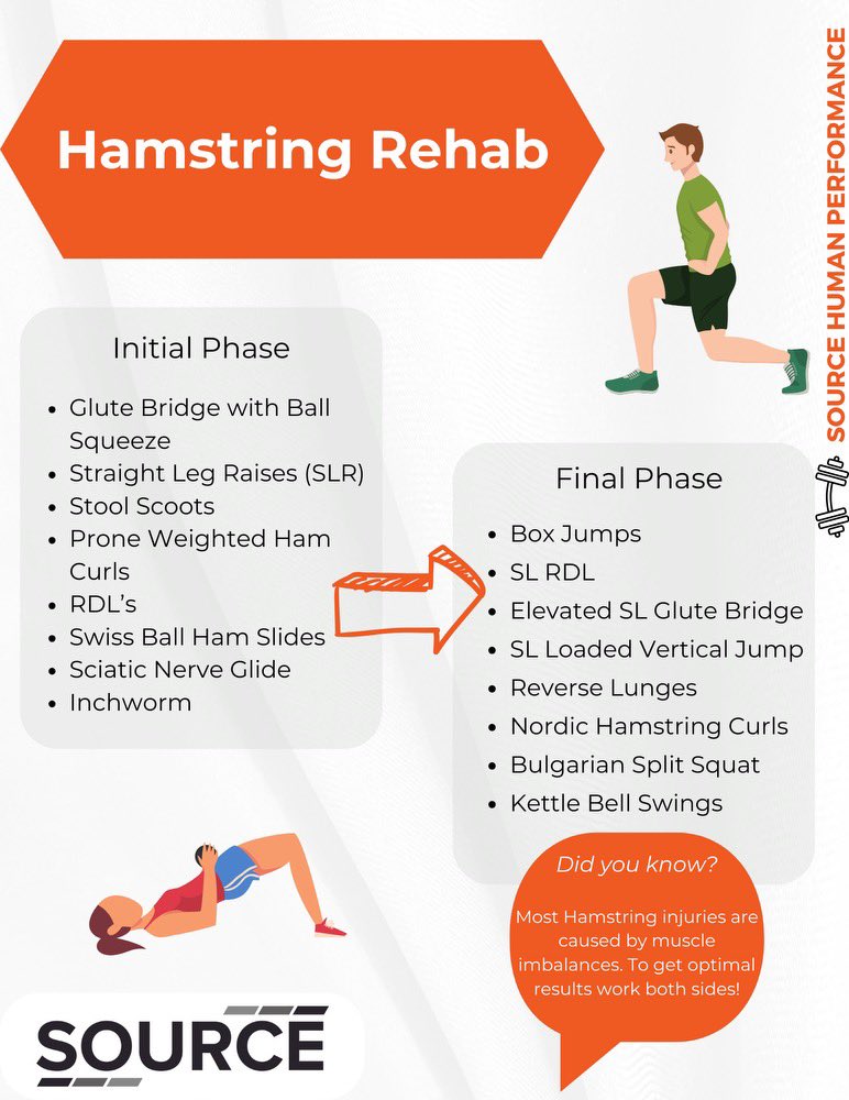 Check out our newest post from our Human Performance Committee! Here are some Hamstring Rehab exercises to help regain strength and mobility after a strain!