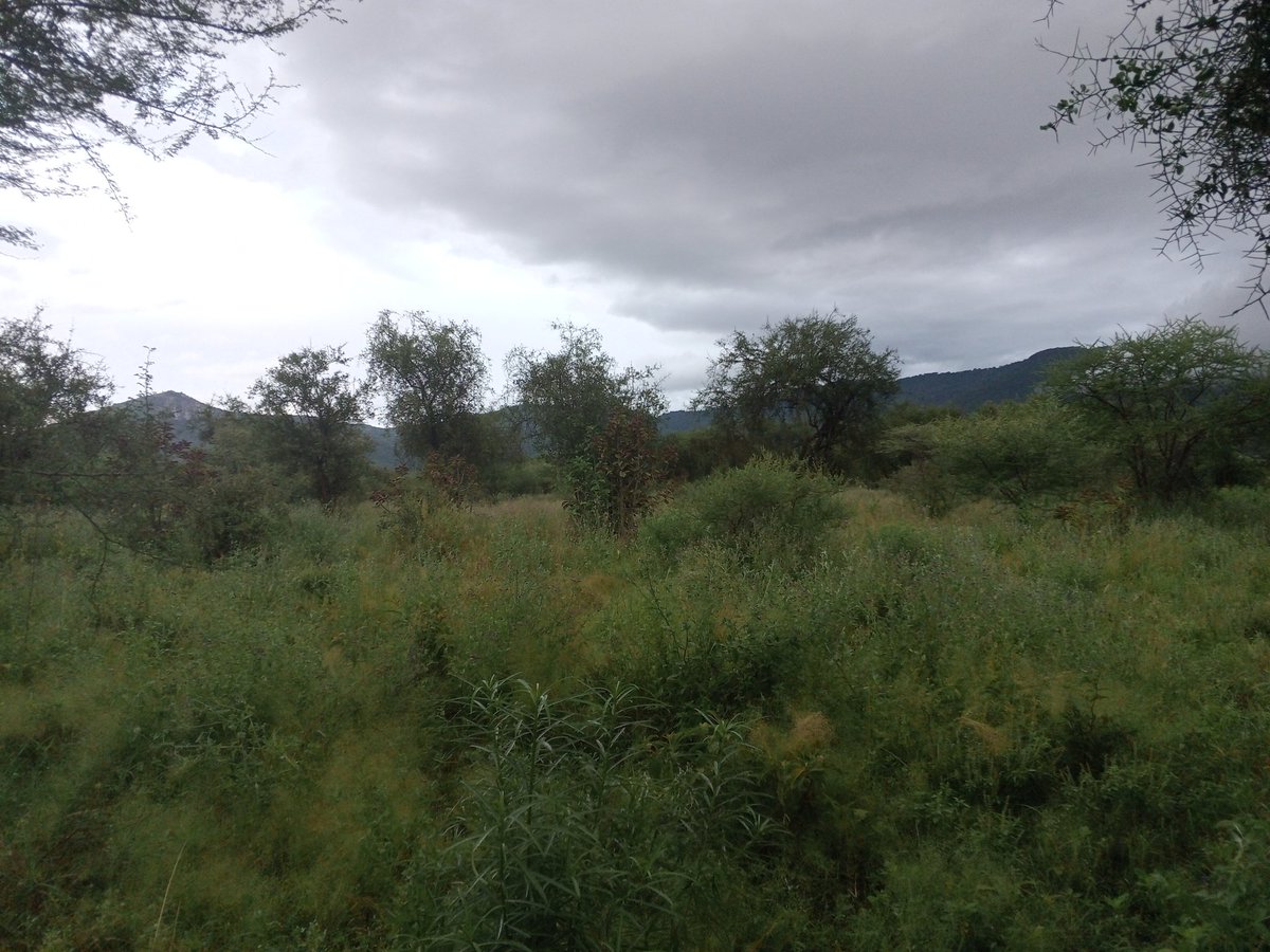 CMutoroki's tweet image. At Namanga