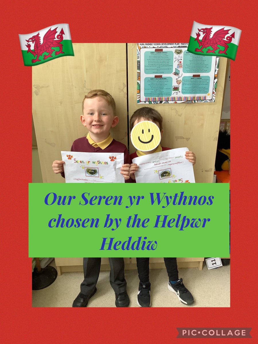 This week’s Seren yr Wythnos chosen by the Helpwr Heddiw. @HEADMPS @Mae5ySchool