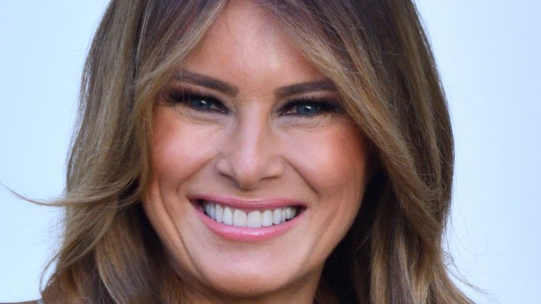 In light of the recent Stormy Daniels testimony,upcoming election and constant controversy surrounding Donald Trump it may be a good time for Melania to renegotiate her contract with Donald for more $$$? She definitely would have leverage!