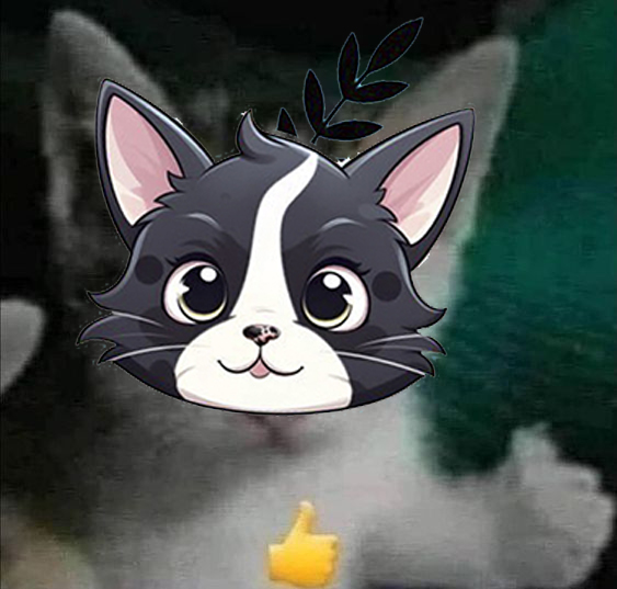 🎉How does it feel to be a loser?