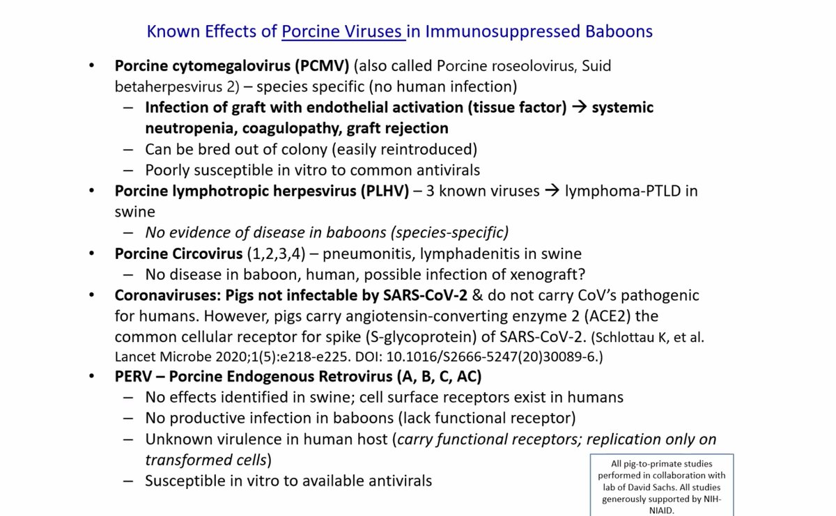 Many porcine viruses cause pathogenesis in immunosuppressed baboons including porcine CMV (which can be bred out of the colony but easily re-introduced), porcine lymphotropic herpesvirus, porcine circovirus, coronaviruses, PERV
