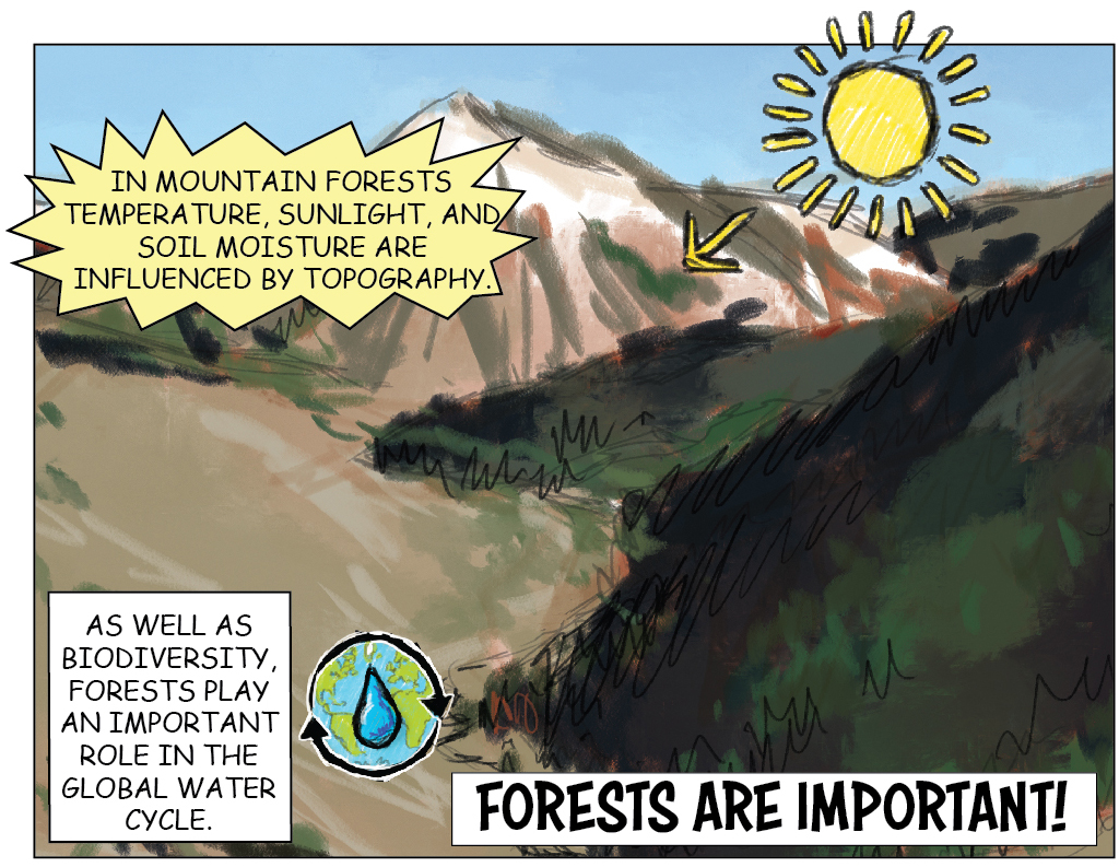dynamicwater_cz's tweet photo. What keeps the sun held up in the sky?
Sunbeams.
@INSTAAR @CZCNet @NSF @IFS_Foundation @rmyilangai
#czscience #criticalzone #nsf #earthscience #water #trees
https://t.co/r7g7Yc6bbI
Rahila interview https://t.co/iNQ4PTbn3N https://t.co/E9vq6xOvZj
