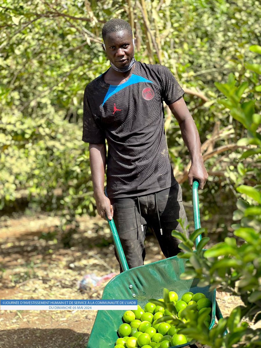 La ferme agricole de l'université Alioune DIOP modèle d'agroecologie