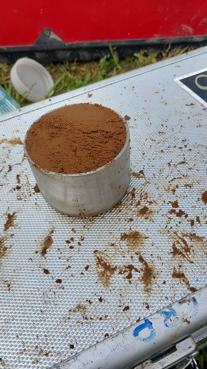 New luxembourg #soil profile described during installation of soil temperature probes.
Sandy soil developped on Luxembourg sandstone.
#Anthropic #stoneline at 60 cm, material above is slope alluvium.