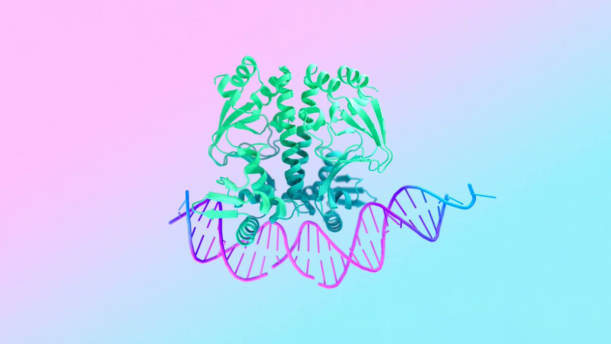 Google DeepMind Releases AlphaFold 3 AI Model for Predicting Life's Molecules