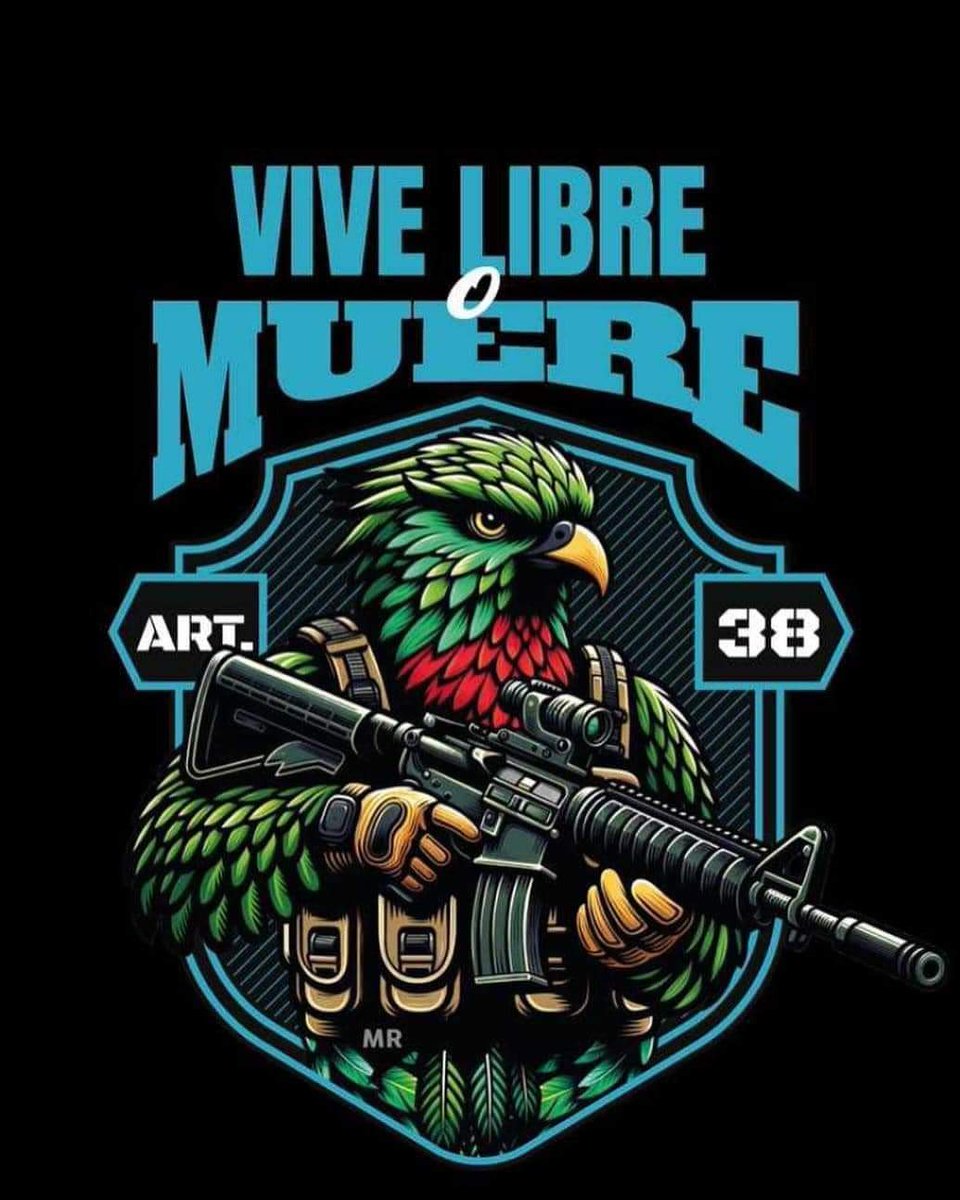 JoseUrru89's tweet image. #ACTEPAR
#NRA
#ARTÍCULO38
#SECONDAMENDMENT

Actualmente en el mundo, únicamente tres países reconocen a nivel constitucional el derecho de tenencia y portación de armas de fuego. Estos son: USA, México y Guatemala. 

USA reconoce de una manera bastante amplia, ese derecho humano