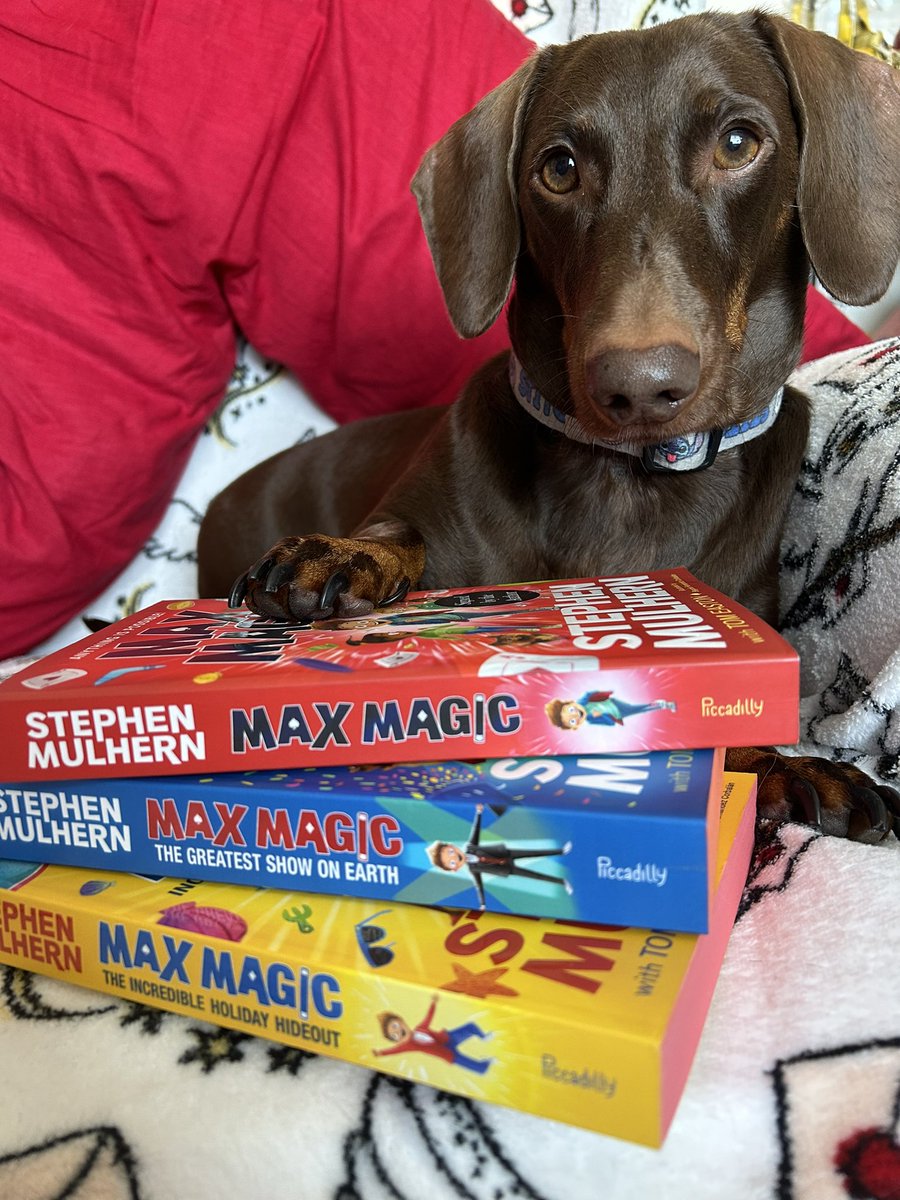 LouLouWorld's tweet photo. @StephenMulhern βs new book I have early YAY look at that full set now & all with the lovely colour edges canβt wait to read the new book π Got my Dog to display them π Well Done Stephen π #maxmagic #maxmax2 #maxmagic3 #stephenmulhern #books @tomeaston @piccadillypress https://t.co/pt3AkU995p