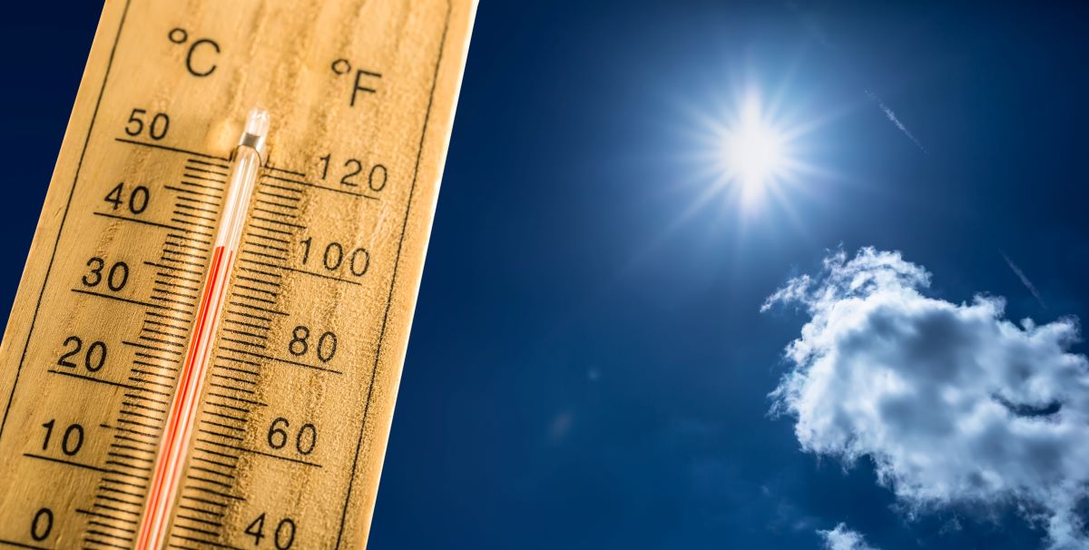 A recent @CDCgov Morbidity & Mortality Weekly Report found that heat waves can affect children & adults with underlying health conditions, pregnant women, & outdoor workers more than others. Read the full report in the latest #NIHCEAL newsletter: bit.ly/4dsdQ8h