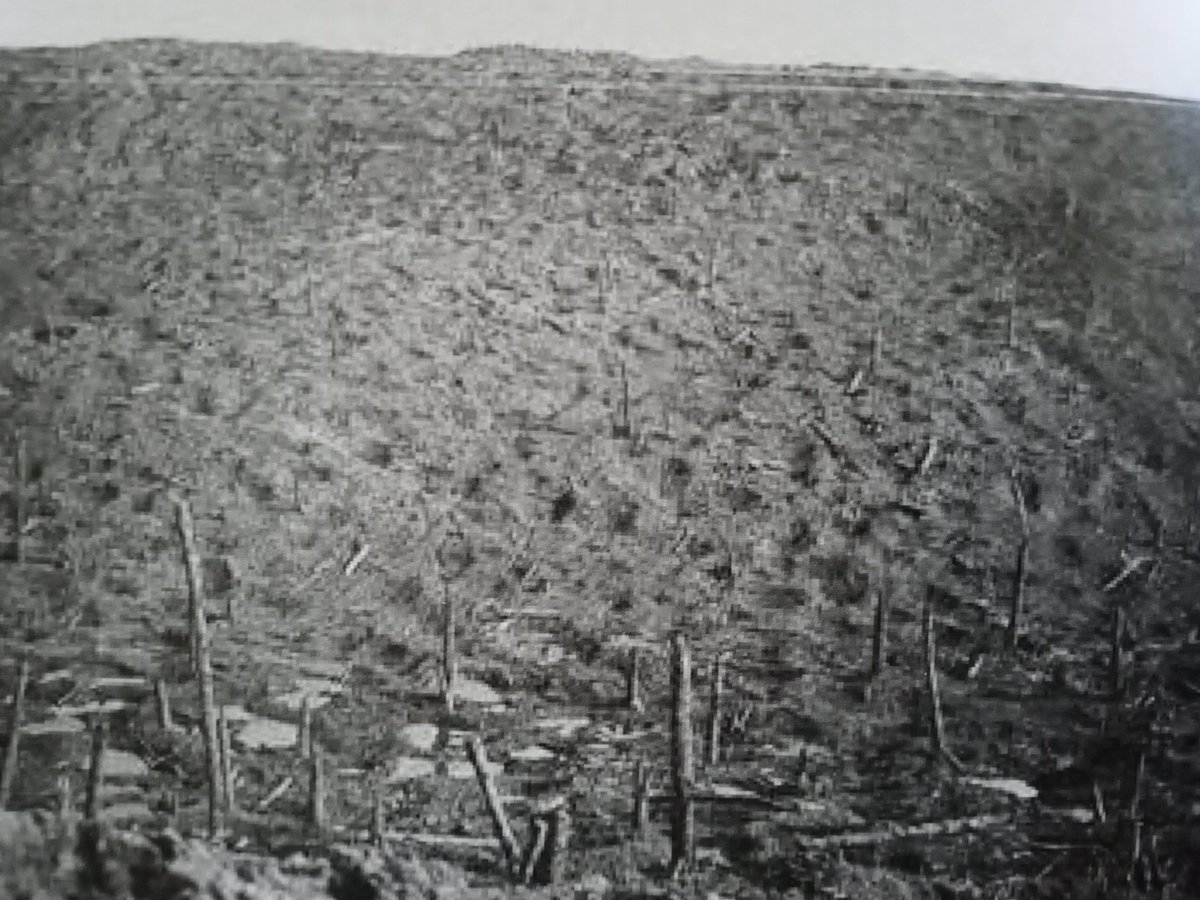 The blasted landscape of #Verdun #artillery #FWW #WW1