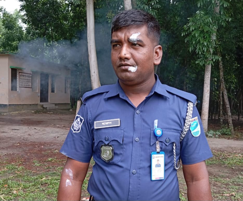 টাঙ্গাইলে ভোট কেন্দ্রে ভিমরুলের আক্রমণে দিশেহারা ভোটার পুলিশ