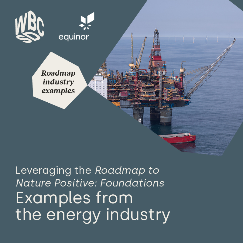 🍃 How are energy companies including nature considerations in their business strategy? 🌟 Discover how @Equinor aims to avoid adverse impacts on nature by assessing its nature-related risks & collaborating with peers & research institutes. 👉  wbcsd.org/Pathways/Energ…