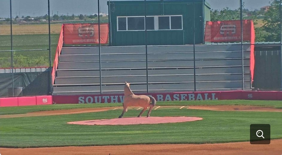 Baseball has a new mascot on the mound today!