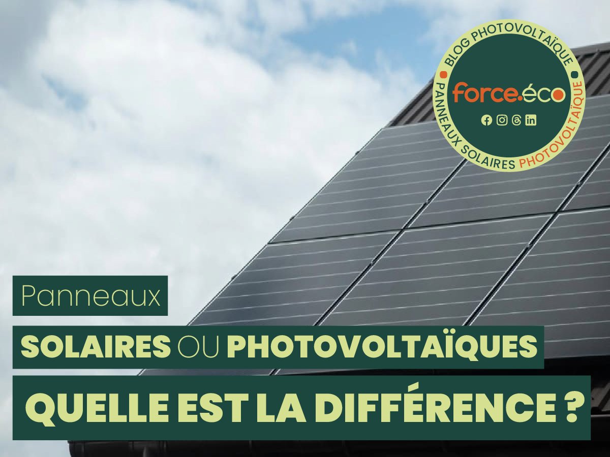 ☀️ Panneaux Solaires vs Panneaux Photovoltaïques ☀️ : Comprendre les Différences ! ⤵︎
➡️ force-eco.fr/differences-pa…

#Béarn #pyrénéesatlantiques #PanneauxSolaires #photovoltaique