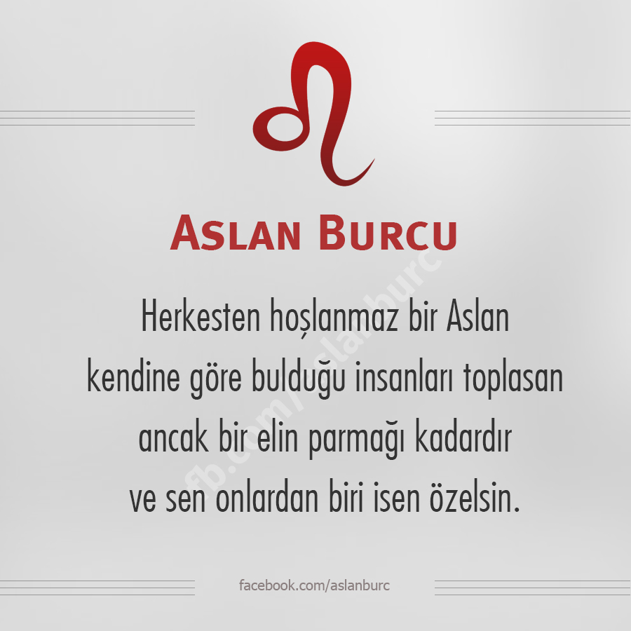 #AslanBurcu