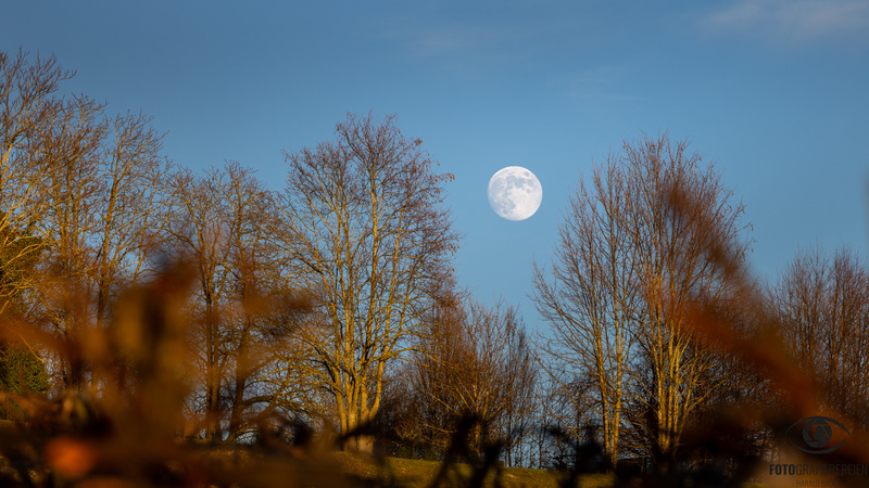 Der Mond ist aufgegangen

#fotografierereien #haraldbader #fotografie #photography #fotodestages #pictureoftheday #mond