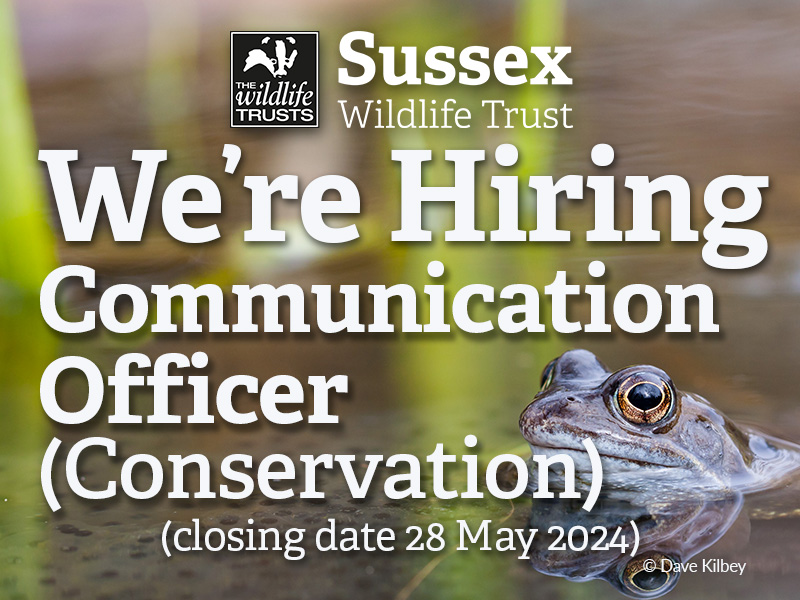 Would you like to work for Sussex Wildlife Trust? We are seeking an experienced and highly organised individual to run the Trust’s wildlife information service and deliver engaging communications on a wildlife and conservation theme
sussexwildlifetrust.org.uk/get-involved/j… #SussexJobs