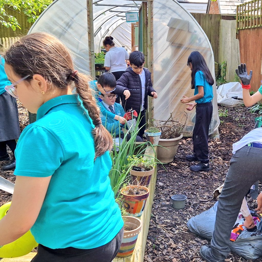 The sun is shining this week, and #GardeningClub have been busy busy busy! #TeamTindal @arktindal @RHSSchools